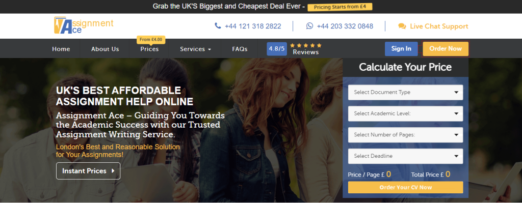 assignment-ace-website